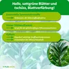 Purgrün Glücksfeder-Dünger 1 Liter, Produktbild-Vorschau 3