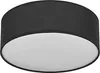 A close-up, straight-on view of a black drum-shaped ceiling light with a white diffuser.