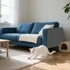A white cat is playing on a rug in front of a blue sofa in a living room. Produktbild-Vorschau