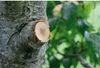 GARDENA SmartCut Ratschen-Astschere Produktbild-Vorschau 18