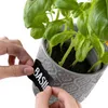 Hands placing a label on a potted basil plant. Produktbild-Vorschau