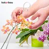 KOTARBAU® Set di 6 supporti per piante in PVC trasparente Anteprima dell’immagine prodotto 8