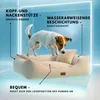 A dog is about to jump into a cream-colored dog bed with raised edges and a small pillow. The background is a bright blue with neon light accents. Produktbild-Vorschau
