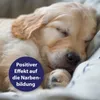 Canosept Wundgel für Hunde 20 ml Produktbild-Vorschau 3
