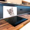 Tulup Glas Herdabdeckplatte - 80x52 cm - Produktbild-Vorschau 3