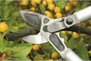 Felco 231 Getriebeastschere, Zweihand-Baumschere 80cm, für Anteprima dell’immagine prodotto 14