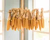 Corn on the cob hanging on a string, likely for drying, in front of a window. Náhľad obrázku produktu