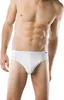 Schiesser unterhose unterwäsche basic klassisch Essentials Produktbild-Vorschau 5