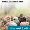 Wiltec Couveuse automatique – 100 W – pour 15 oeufs – à Voir les images du produit 8