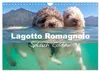 Lagotto Romagnolo, Sonderausgabe (Wandkalender 2027, DIN Produktbild-Vorschau 1