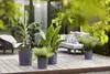 Pot Greensense Aqua Care Rond 43cm Grau Anthrazit - Elho Produktbild-Vorschau 12
