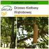 SAFLAX - Drzewo Kiełbasy Wątrobowej - 10 Nasiona - Z Podgląd zdjęcia produktu 10