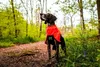 Non-stop dogwear Regenmantel Fjord raincoat 2.0 Produktbild-Vorschau 14
