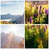 Poster - Poster ohne Rahmen - Berge Wiese Blumen - 40x50 cm Produktbild-Vorschau 8