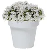 Blumentopf Übertopf Blumenkübel 16 cm x 14,4 cm weiß Produktbild-Vorschau 16