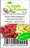 100x Riesen Wald Erdbeeren Gemischt Mix Obst Pflanzen - Produktbild-Vorschau 4