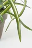 Mica Decorations Dracaena Kunstpflanze im Blumentopf Stan - Produktbild-Vorschau 3