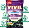 VIVIL® Schwarze Johannisbeere ohne Zucker Bonbons 120,0 g Produktbild-Vorschau 9