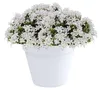 EDA Toskana Blumentopf - Kunststoff - weis - D40 x 32 cm Produktbild-Vorschau 2