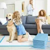 100 Stück Trainingsunterlagen 60 x 60 cm für Hunde Welpen Produktbild-Vorschau 2