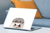 MuchoWow® Laptop Aufkleber Sticker Cover Igel - Tiere - Produktbild-Vorschau 4