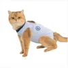 INF Tuta post-operatoria estiva per gatto in poliestere Anteprima dell’immagine prodotto 6