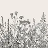 Coloray Fototapete 312x219 cm Vlies-Fototapete - Field Produktbild-Vorschau 2