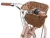 Close-up of the handlebars and front basket of a bicycle. Podgląd zdjęcia produktu
