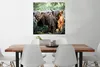 MuchoWow® Poster Schottische Highlander - Wald - Tiere Produktbild-Vorschau 2