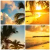 Poster - Poster ohne Rahmen - Meer Strand Palme - 91,5x61 Produktbild-Vorschau 8