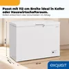 Exquisit Gefriertruhe 308 l | Energieklasse D | Produktbild-Vorschau 3