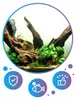 Décoration d'aquarium, racine de mangrove 50-70 cm, brun Voir les images du produit 14