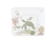 Rotho Babydesign Rotho Wickelkissen breit, Geschwungen, Produktbild-Vorschau 1