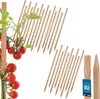 KOTARBAU® 25er Set Pflanzstäbe 40cm Tomaten & Gurken Produktbild-Vorschau 1