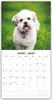 Lhasa Apsos - Lhasa Apso 2027 - 16-Monatskalender Produktbild-Vorschau 3