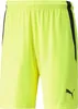 Puma Teamliga Shorts Kinder - Rot Produktbild-Vorschau 14