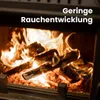 1 RM PREMIUM Buchen Brennholz | 25cm | kammergetrocknet | Produktbild-Vorschau 7