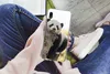 MuchoWow® Handyhülle Schutzhülle Hülle für Samsung Galaxy Produktbild-Vorschau 3