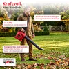 Aspiratore e soffiatore di foglie a benzina Grafner 3in1 Anteprima dell’immagine prodotto 8