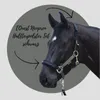 EQuest Neopren Polster Set für Pferdehalfter - L - Warmblut Produktbild-Vorschau 2