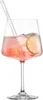 Set Sprizz SCHOTT ZWIESEL, 9 pièces, AFTER WORK Voir les images du produit 3