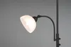 A close-up of a black floor lamp with a white frosted glass shade. Náhled obrázku produktu