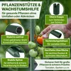 TTL GARDEN Rankstäbe 5er Set 240cm 11mm Pflanzenstütze grün Produktbild-Vorschau 3