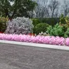 A garden bed border made of pink plants is shown next to a paved surface, with various shrubs and trees in the background. Produktbild-Vorschau