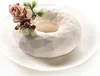 Backform 21 cm SILIKONFORM Kuchenform Backblech Neu Produktbild-Vorschau 9