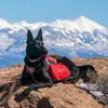 Kurgo Hunde-Rucksack Baxter M Rot Produktbild-Vorschau 6