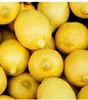 A close-up view of a pile of lemons. Produktbild-Vorschau