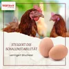 Supravit Hühnergrit Geflügelgrit 4 kg | Muschelkalk Produktbild-Vorschau 3