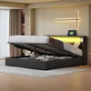 OKWISH Lit Coffre Double 160x200 cm - Lit Adulte avec Voir les images du produit 3