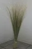 Strandhafer Trockenblumen Dekogras Schilf "Savanne"" ca. Produktbild-Vorschau 1